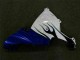 Blanco ABS Plástica Yamaha R1 02-03