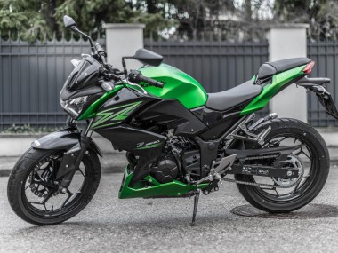 Kits Carenado Moto Kawasaki Z250/Z300 2015-2016 - Verde Negro Mate