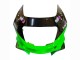 Carenados Moto Kawasaki ZZR600 1998-2003 - Verde Negro Monstruo Elf