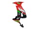 Carenados Moto Kawasaki ZX10R 2008-2010 - Rojo Verde Negro