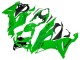 Carenados Moto Kawasaki ZX6R 2019-2022 - Verde