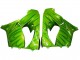Carenados Moto Kawasaki ZX9R 2000-2001 - Verde Llama