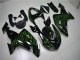 Negro Verde Llama Carenado Kawasaki ZX10R 06-07