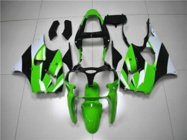 Verde Blanco Negro Carenado Kawasaki ZX6R 00-02