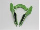 Verde Negro ABS Plásticos Kawasaki EX300 13-16