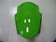 Verde Negro Kits Carenado Kawasaki ZX6R 13-18