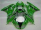 Verde Negro LeoVince Carenado Kawasaki ZX6R 09-12