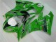 Verde Negro LeoVince Carenado Kawasaki ZX6R 09-12