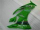 Verde Negro LeoVince Carenado Kawasaki ZX6R 09-12