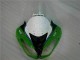 Verde Negro LeoVince Carenado Kawasaki ZX6R 09-12